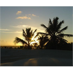 MANGUE-SECO BAHIA-BA